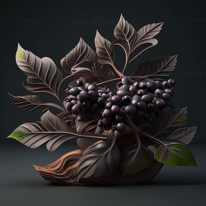 3D model Pagaronia (STL)